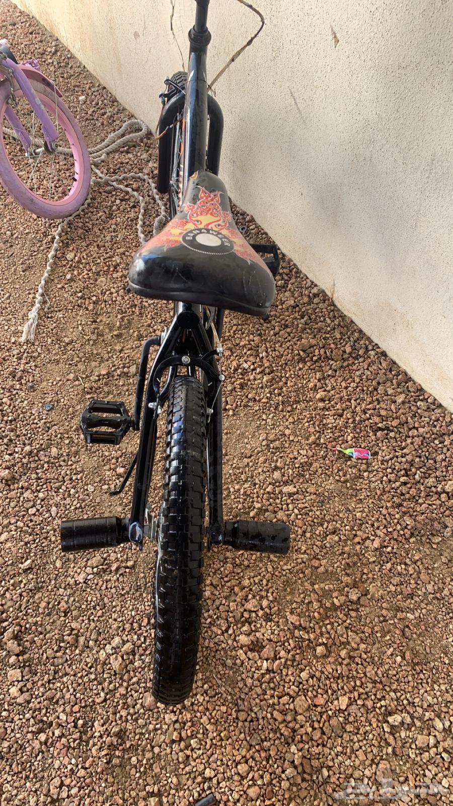 سيكل جديد64361018498819112