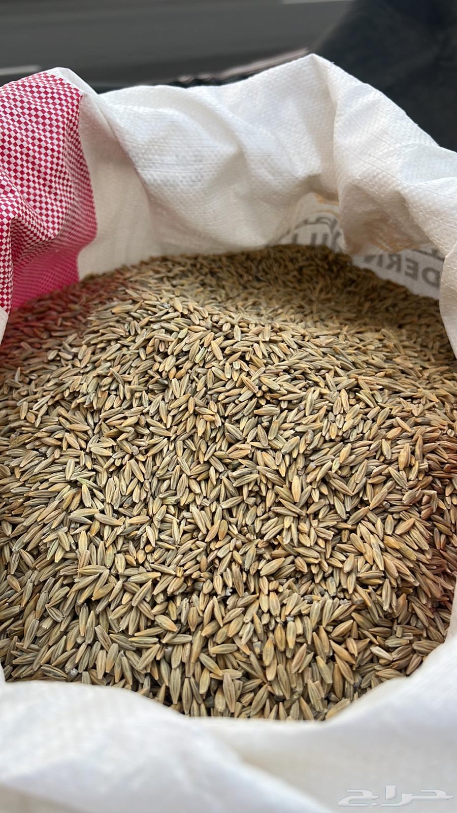 منطقة عسير النماص64358454690689110