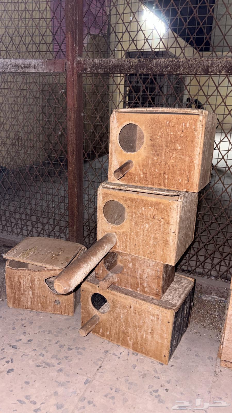 صناديق طيور64354976031617111