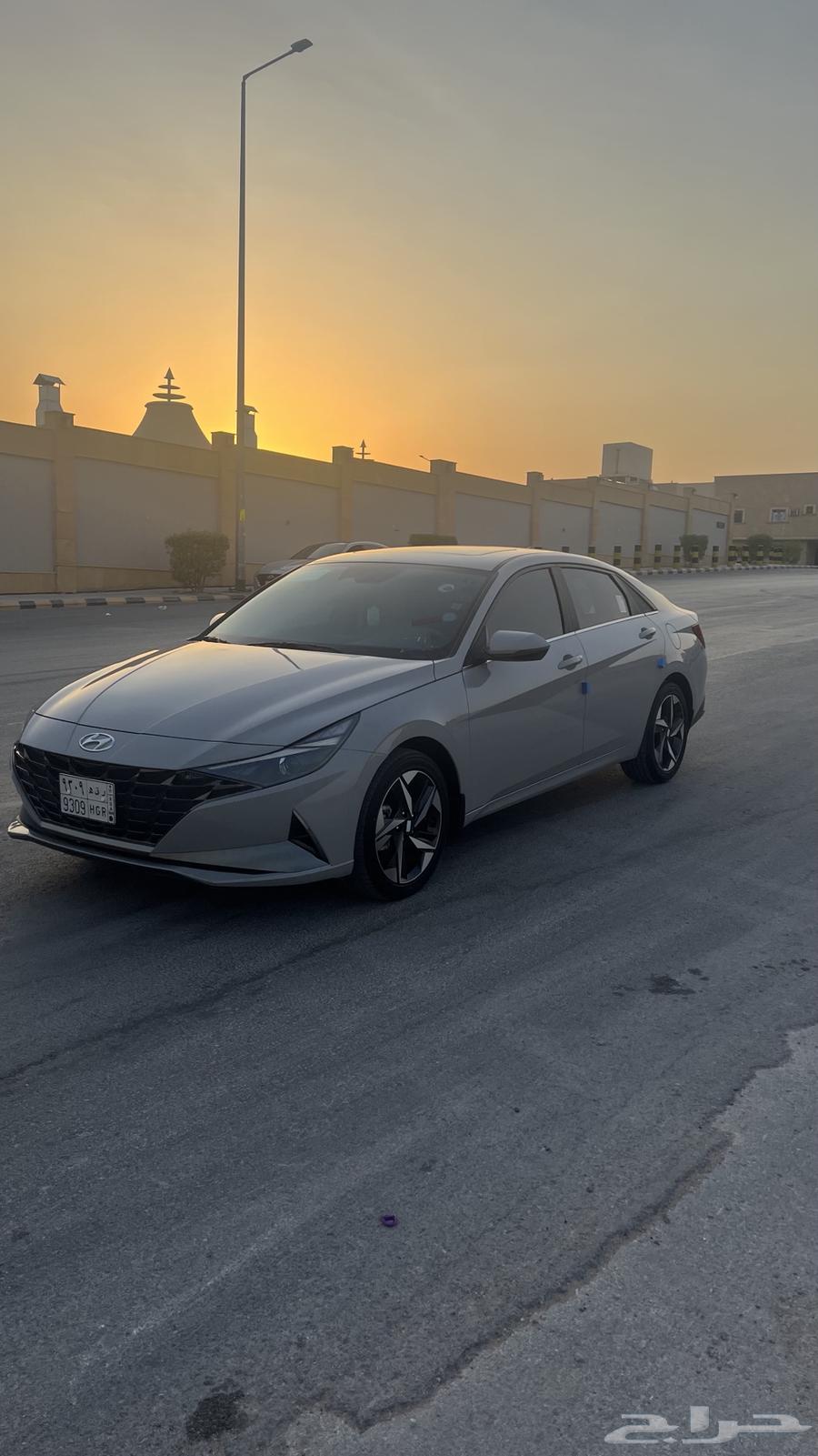 النترا فل الفل بريميوم 202364500909232769111