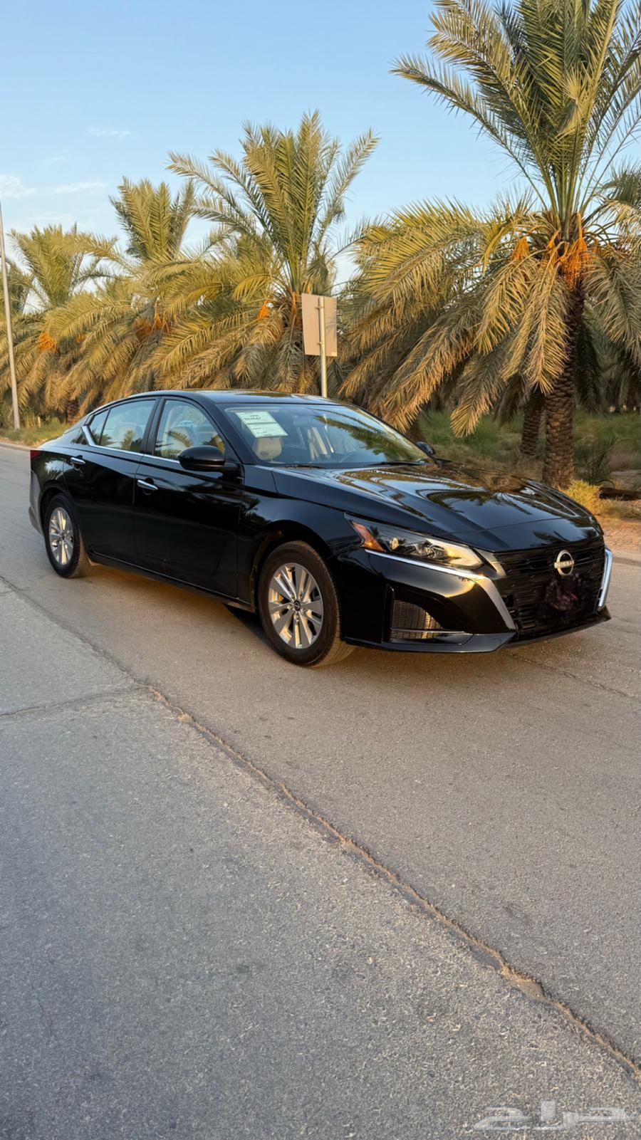 Tema 2021 Original Internal and External Conversion64495282576769110