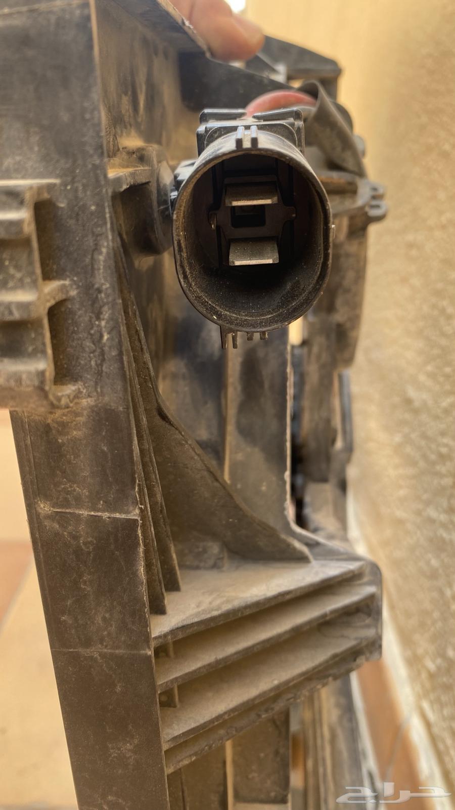 Tors Fan 202364500243063043112