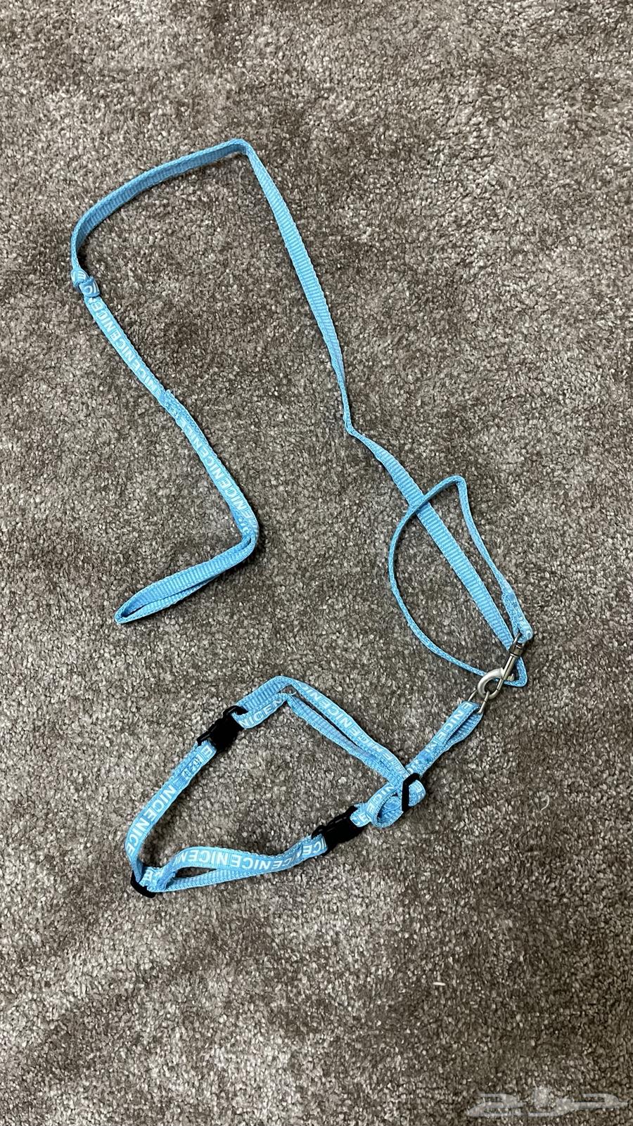 مستلزمات قط للبيع64359778509315112