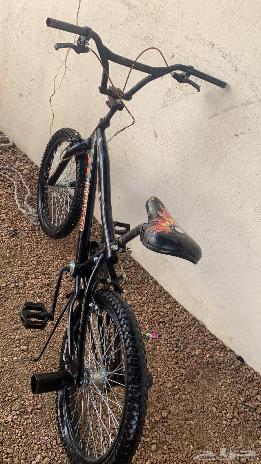 سيكل جديد64361018498819110