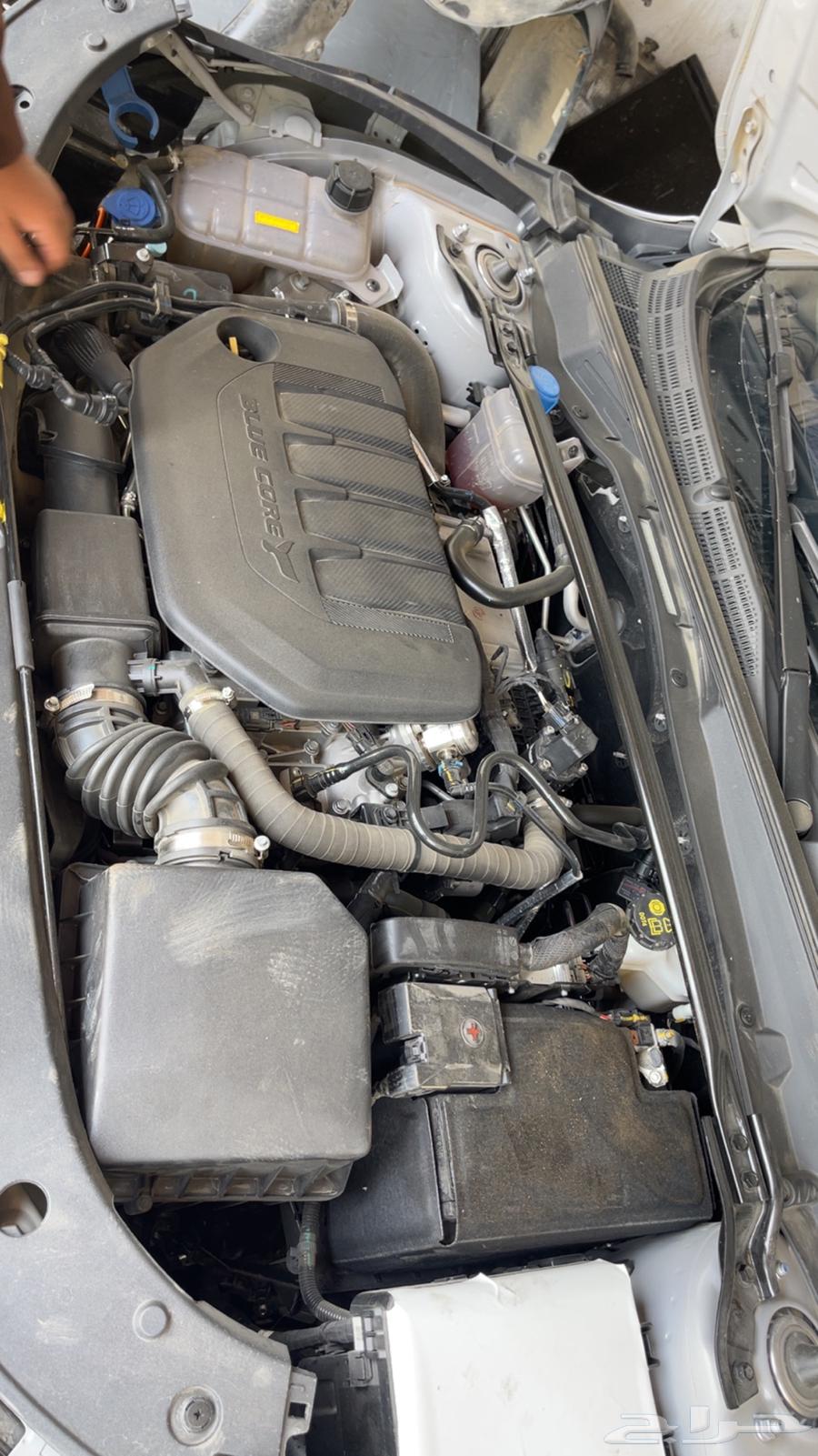 يوني في سبورت 202564507318766977112