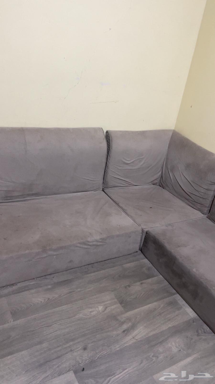 كنب ارضي64358814193153112