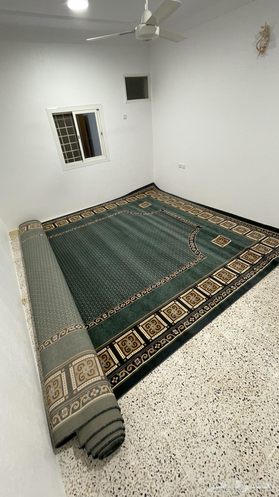 Zulia carpet, furniture, lamps, chandeliers, fans, and sinks64361415173763113