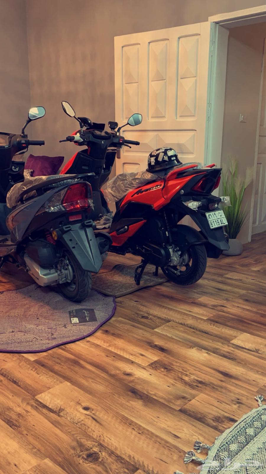 دباب بطه افينوس 202464503995542529111