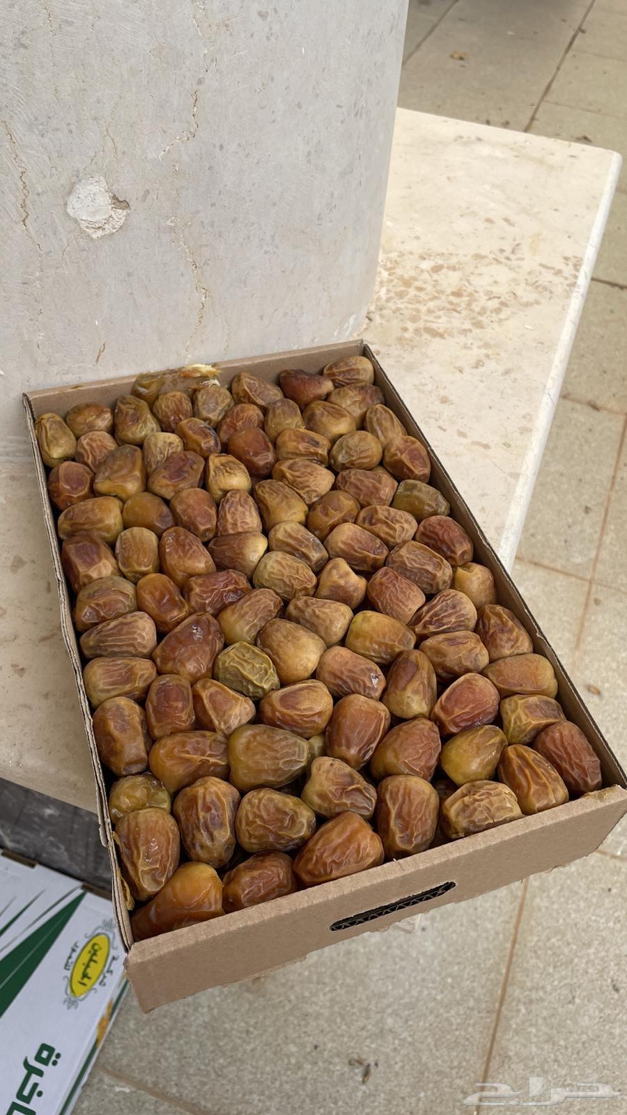 Twisted dates and Galaxy64360681931906110