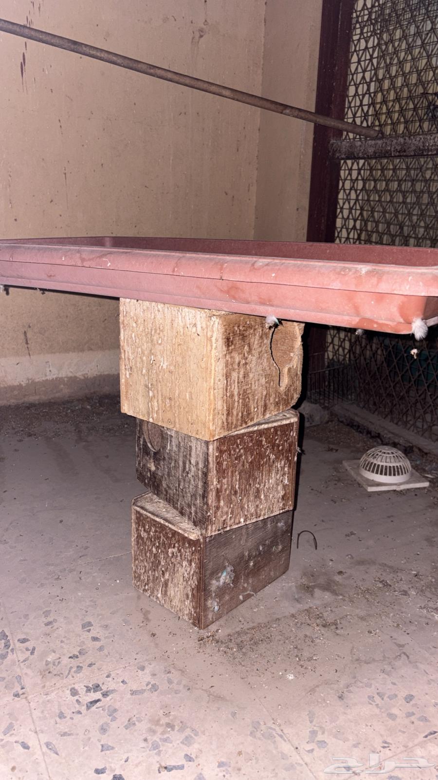 صناديق طيور64354976031617112