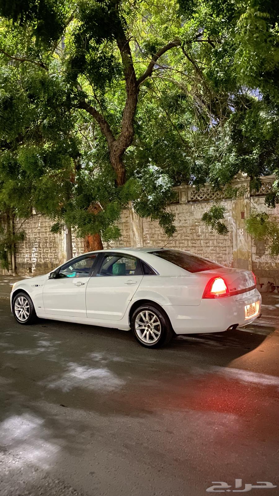 كابرس 2008 الفحص منتهي ومطوف اول سنه64507025796354113