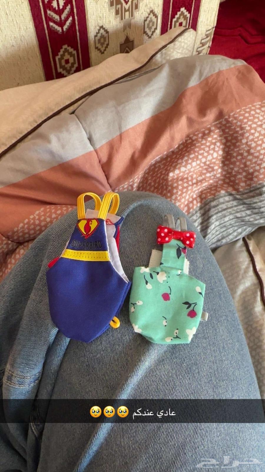 Bird of the day64357777206913112