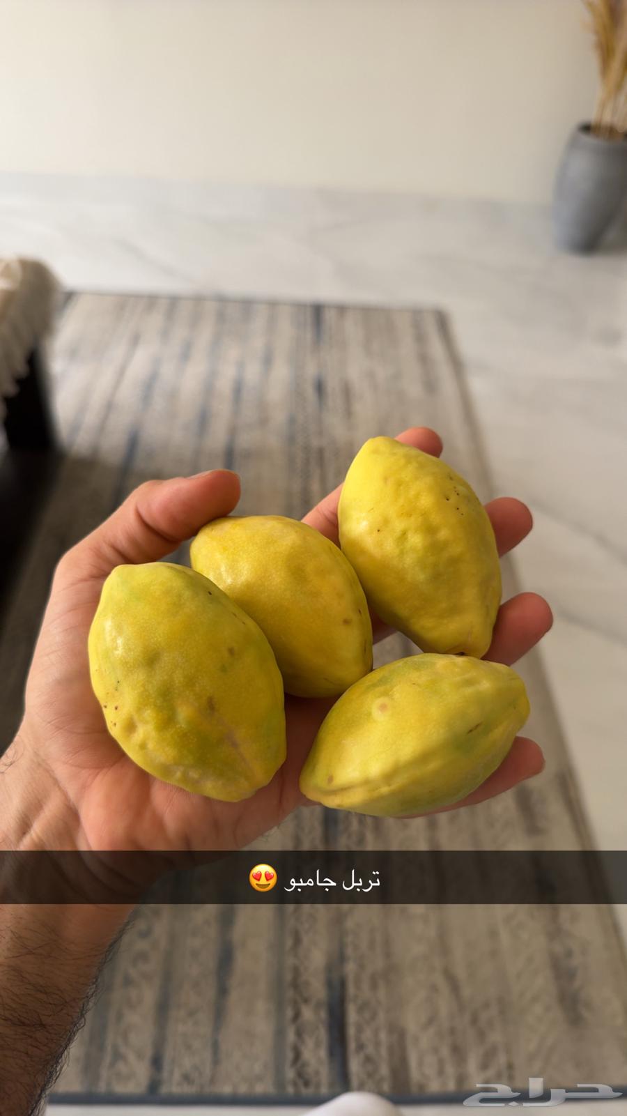 Almonds64351637669251110