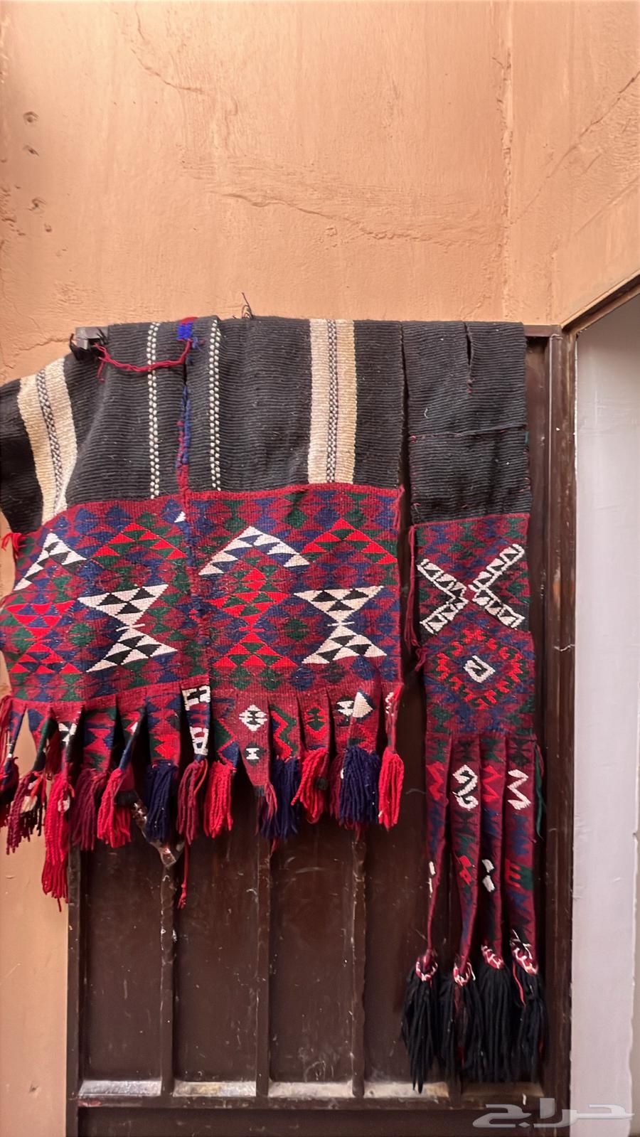 قش هجن للبيع64356252008707110