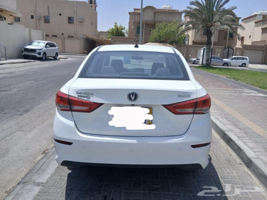 شانجان للبيع لوحة صفراء64495049935745114