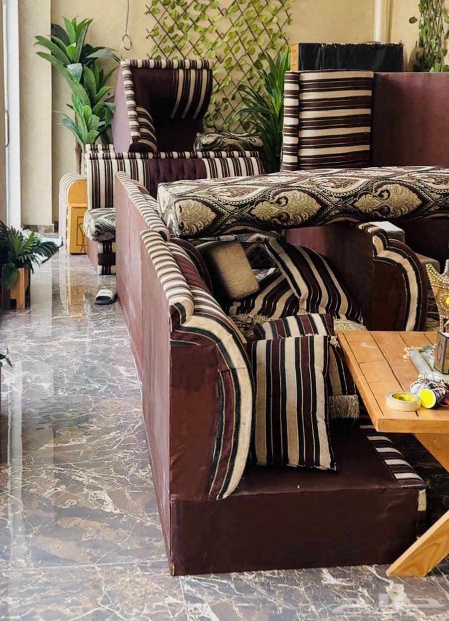 6 in 5 Majlis Sofa64359619198723110