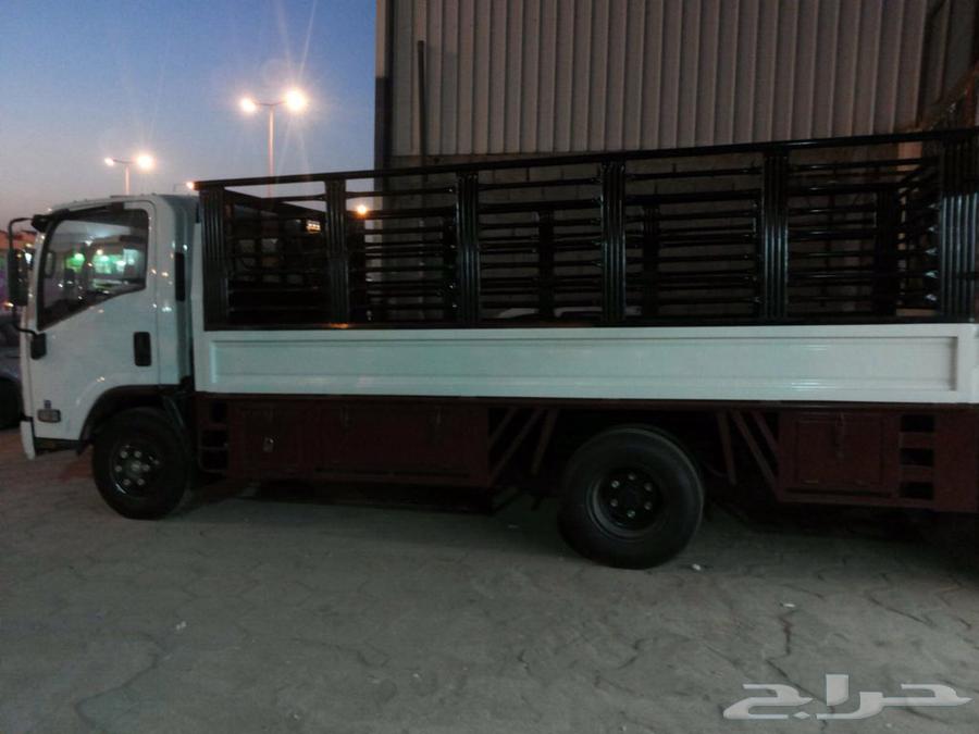 دينه ايسوزو للإيجار64494057815553111