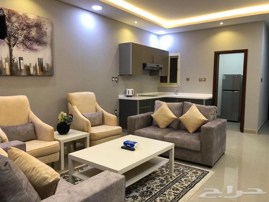 Apartments for monthly or annual rent63613861571458111