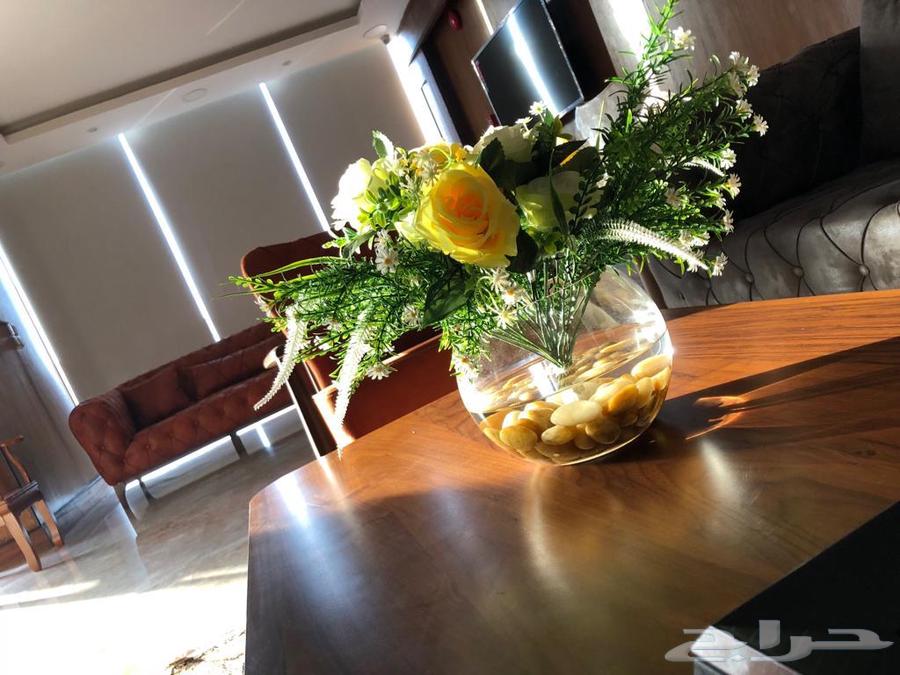 Apartments for monthly or annual rent636138615714581122