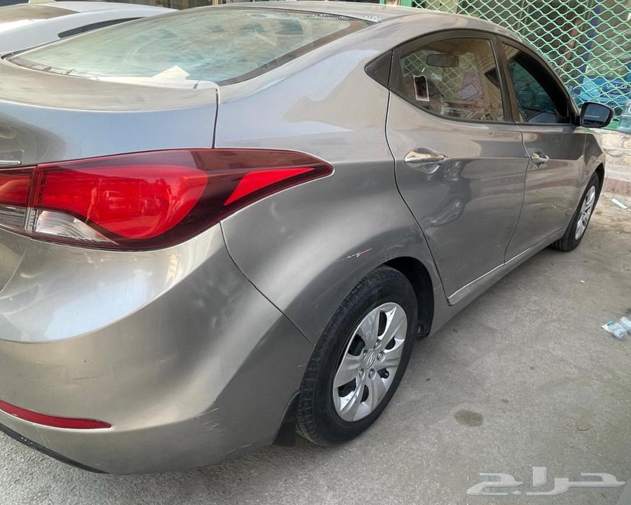 Elentra64502666348547111