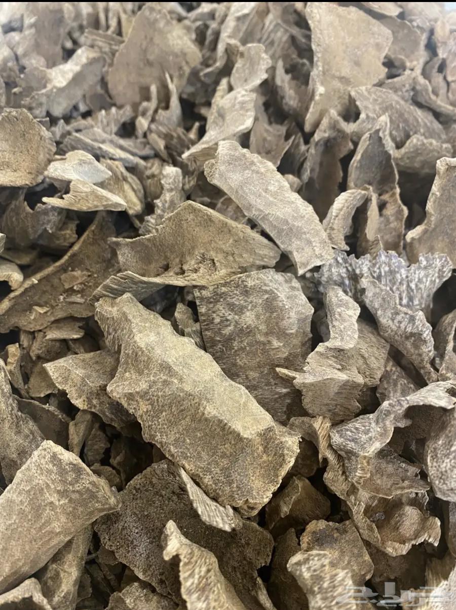 مجموعة عود طبيعي ومحسن لجميع المناسبات64356660872451112