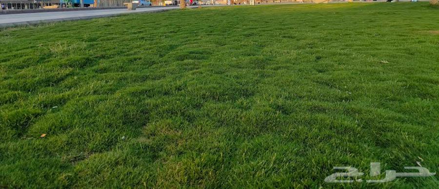 Land for sale63613856251009110