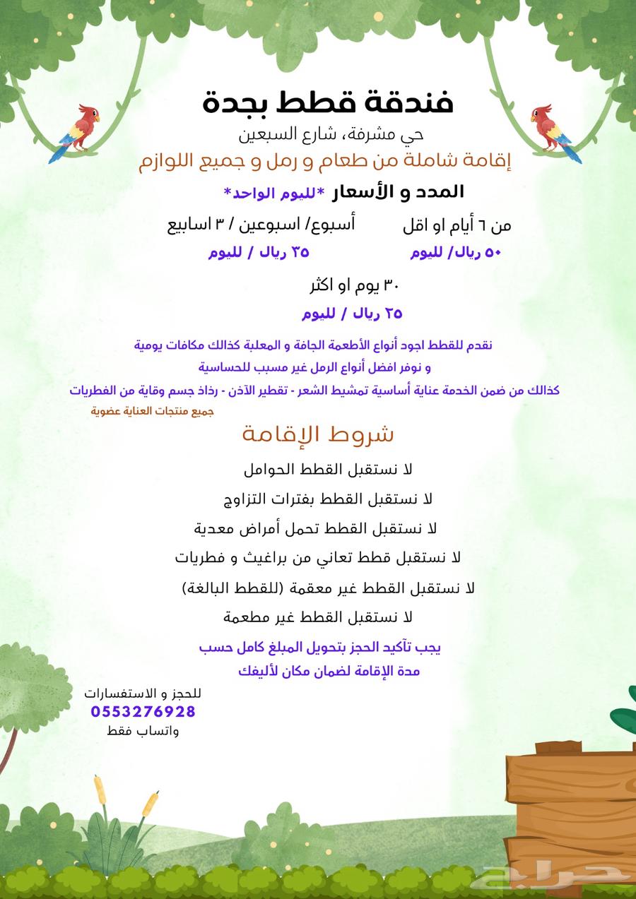 فندقة قطط بجدة حي مشرفة63617368749314111