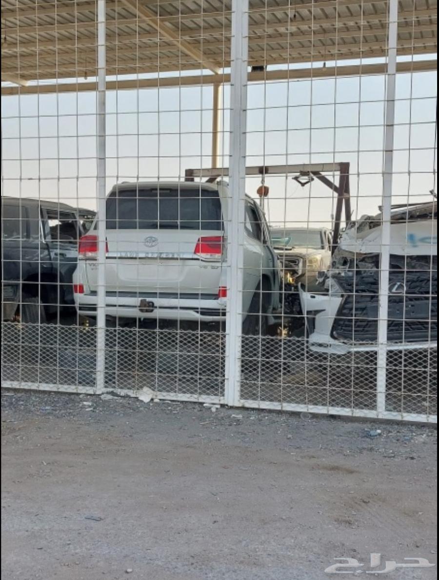 Chali7 Representative64505626939650110