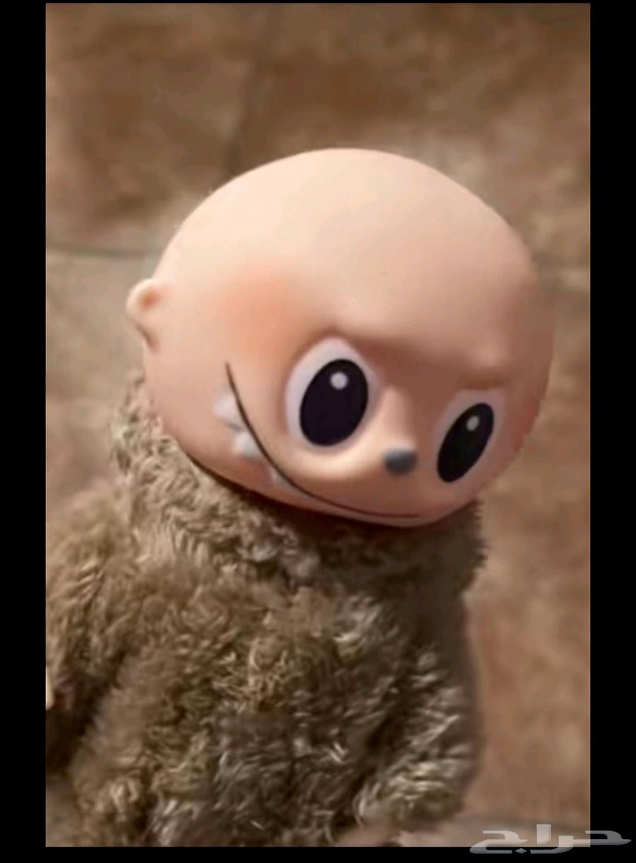 لعبة لابوكم لابو من جمعكم للبيع64350808273283110