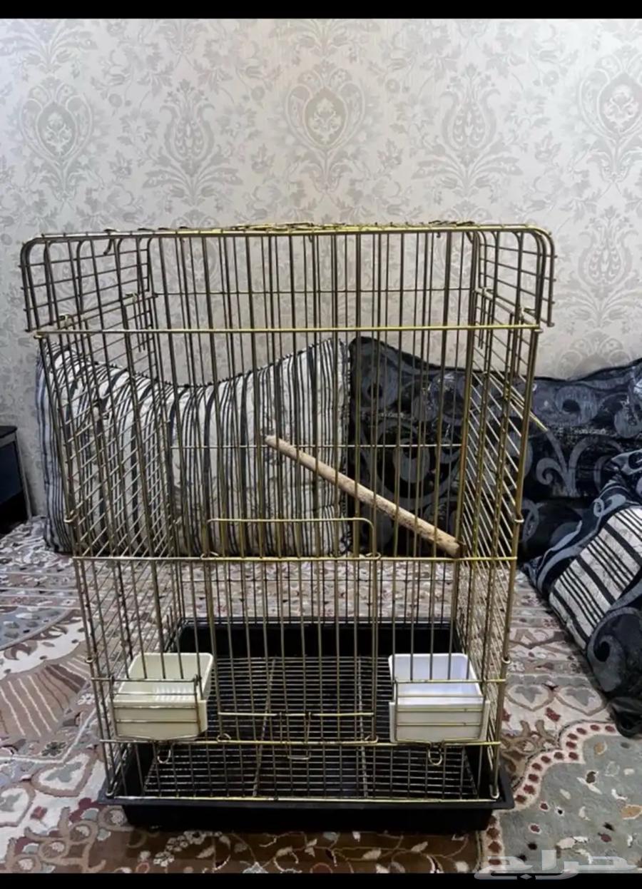 Types of cages64360841295489111