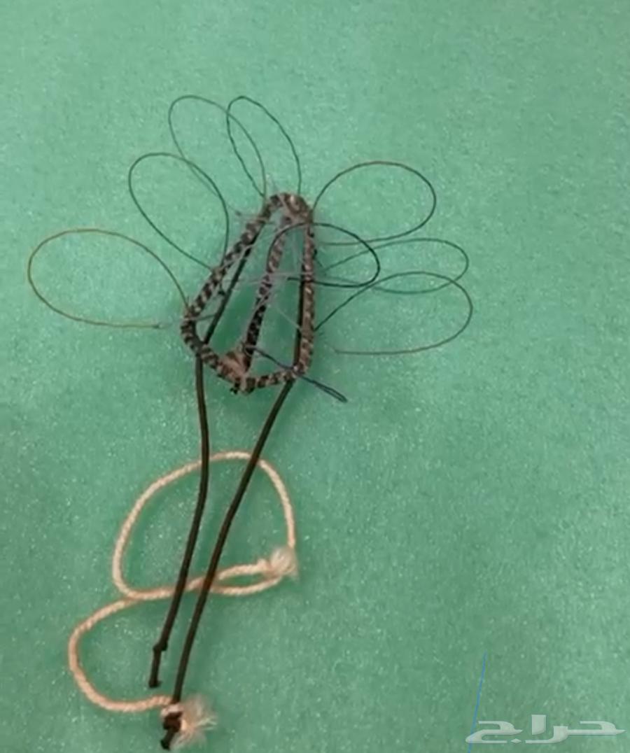 صيد شبك64360115824258111