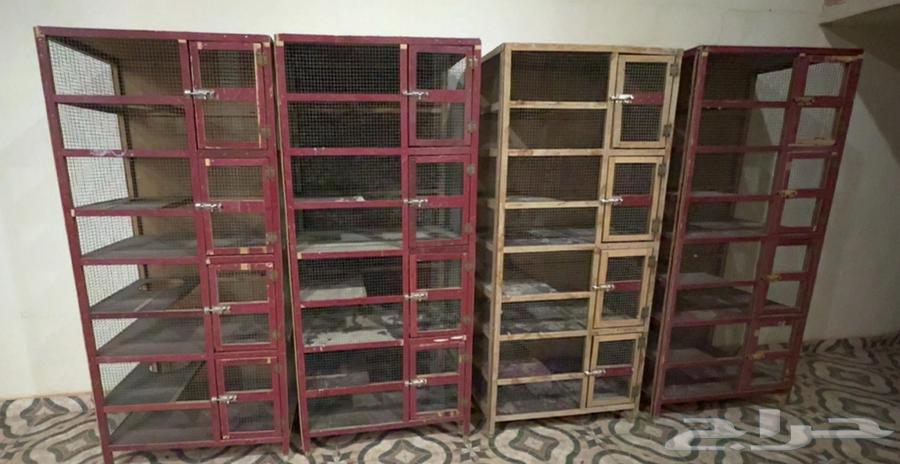 Bathroom Partition64356704460418110