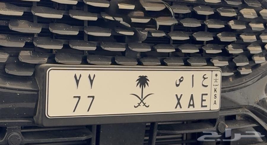 لوحة 77 للبيع64505148610050110