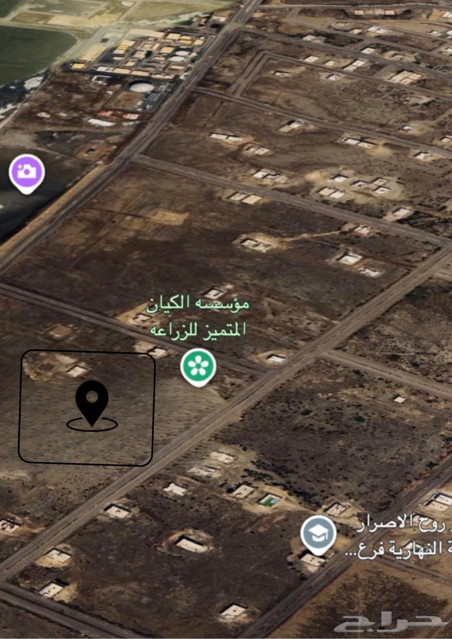 Land for sale in Al Lith63612283482241110