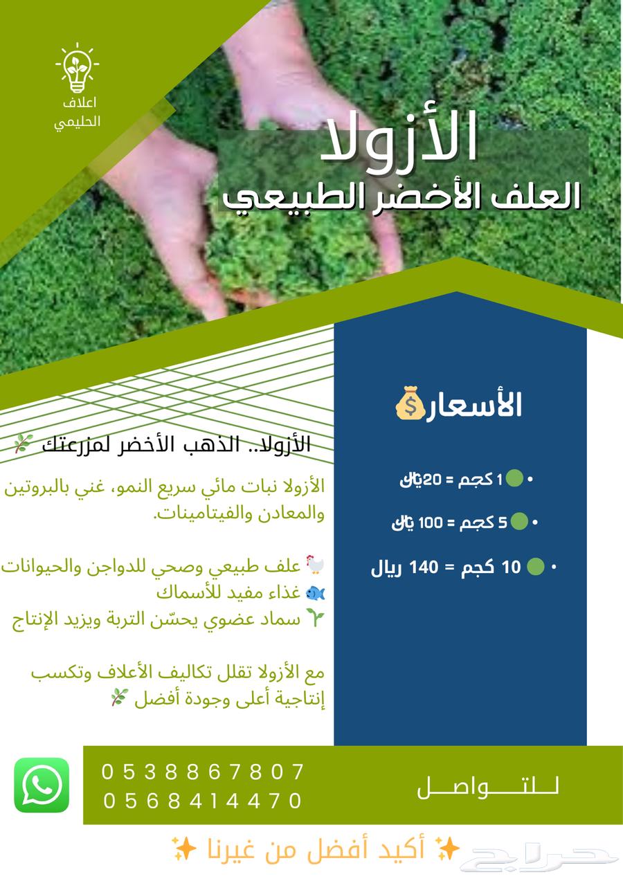 Azolla fodder (Al-Ahsa)64361518054529110