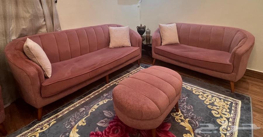 مجموعة كنبات وردية بأناقة الخشب   4 قطع64359995629314110