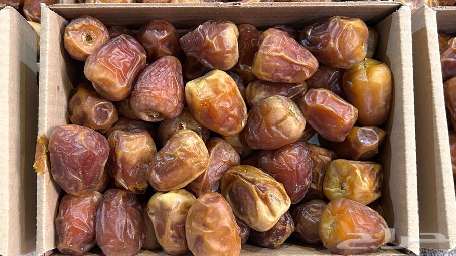 Qassim Sukkari Tamr Maftee and Galaxy Large to Medium Size64353587608578114