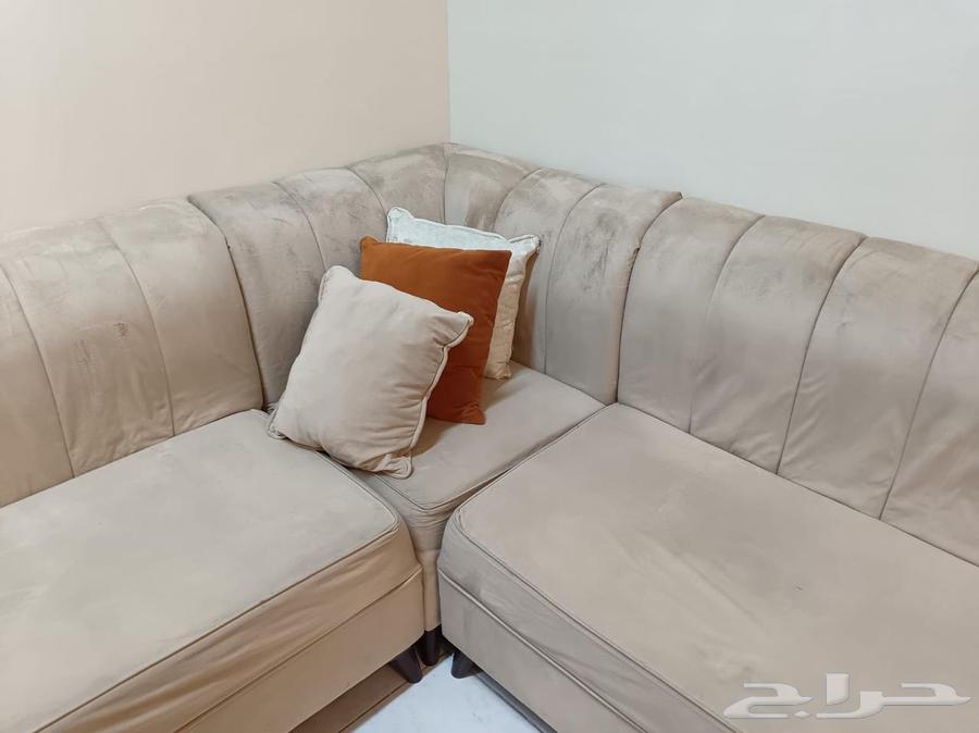 L-shaped sofa 6 meters with carpet64361607699073111