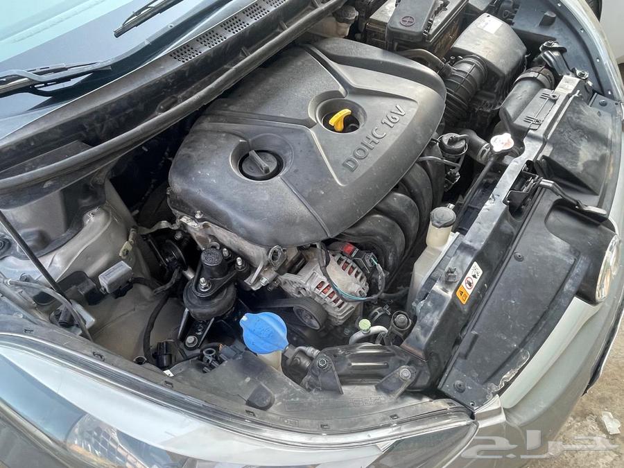 Elentra64502666348547114