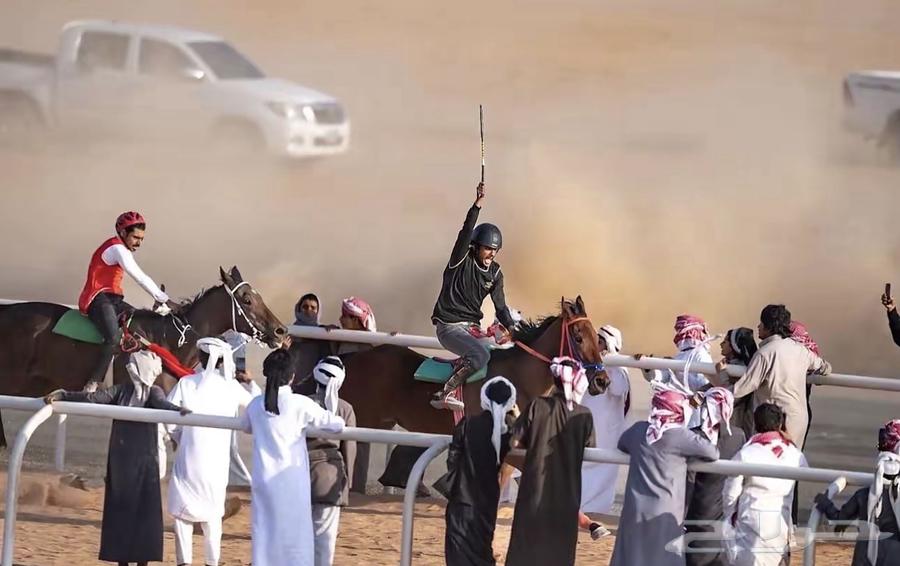 حصان انتاج بطل64361268340483112