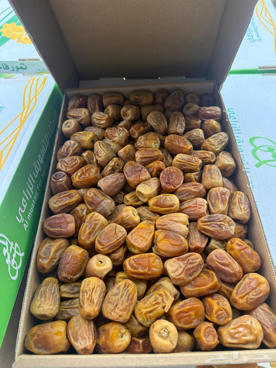 Twisted sugar, quantity available64349125790850112