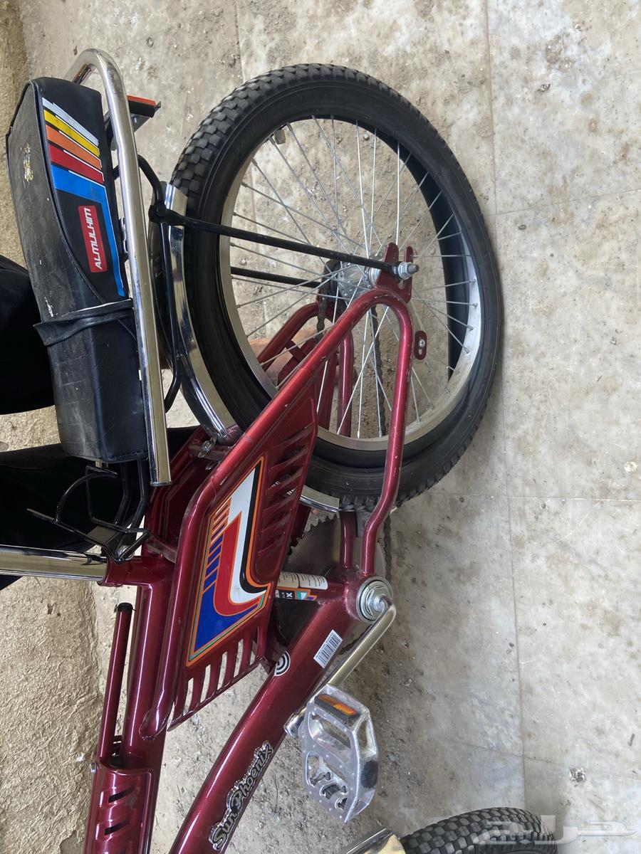 202464502045279105111