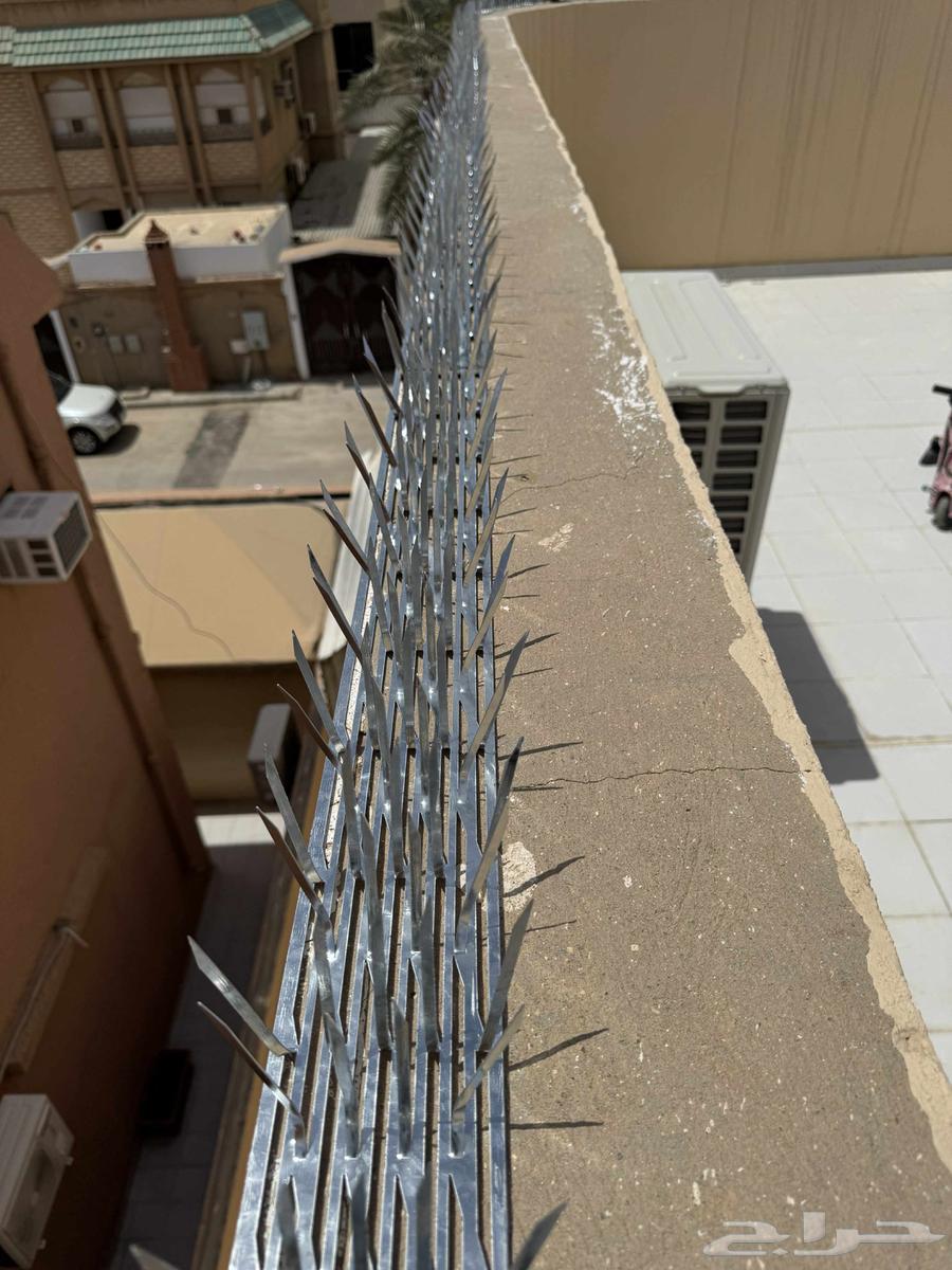 Pigeon Repeller63617346896129112