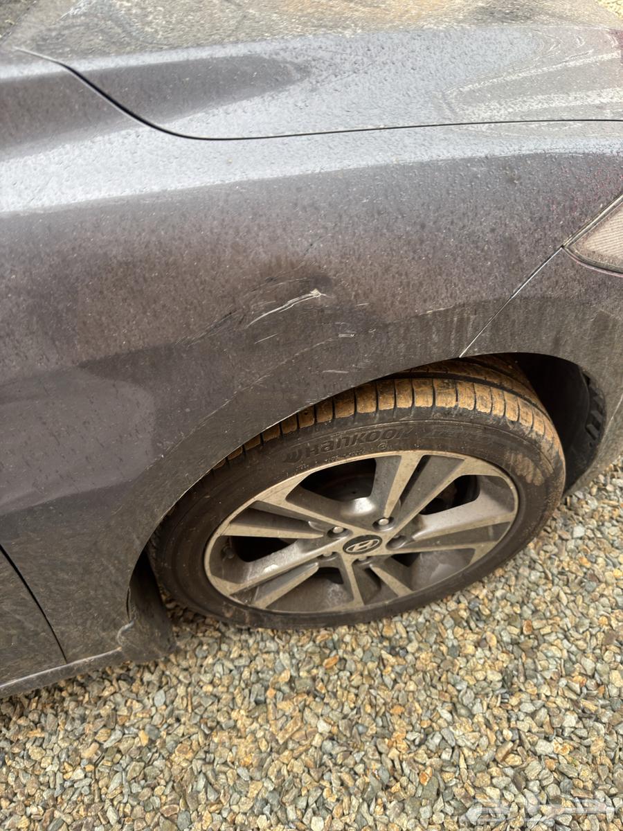 2018 Elantra Shocked64505875261569113