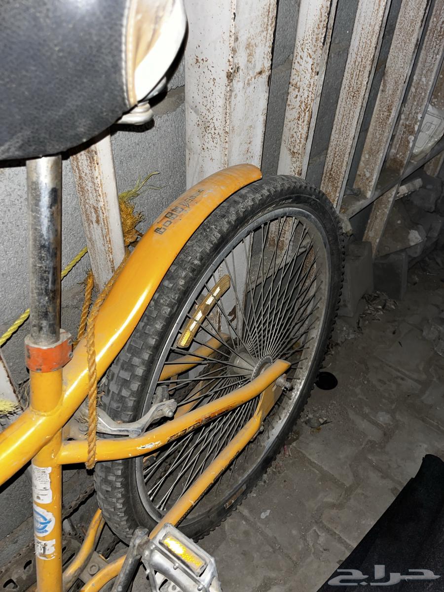 دراجة كوبرا مقاس 2664361458898562111