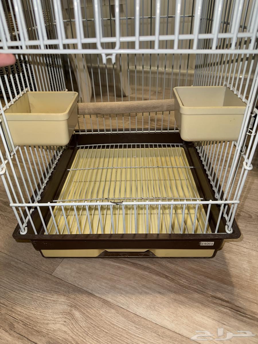 قفص طيور للبيع64356529639683113