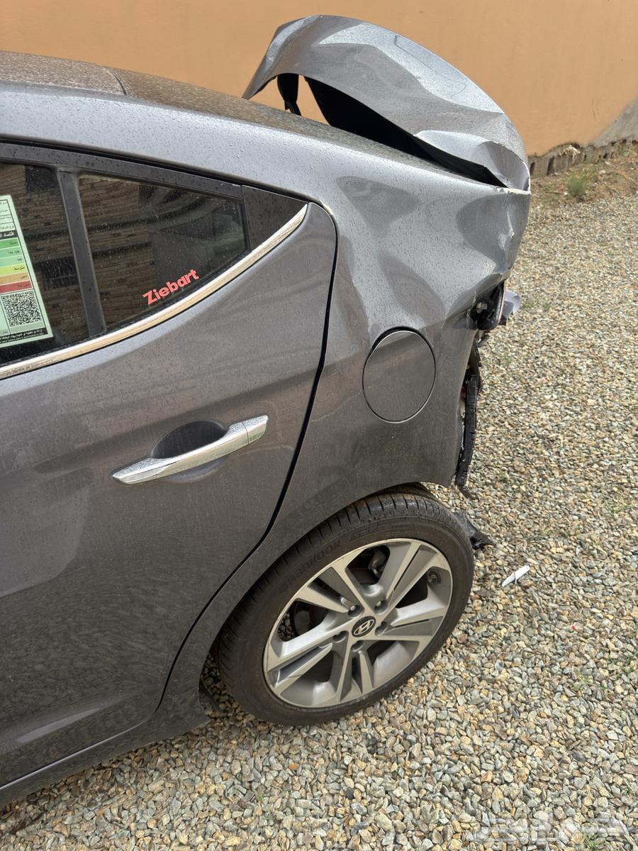 2018 Elantra Shocked64505875261569114