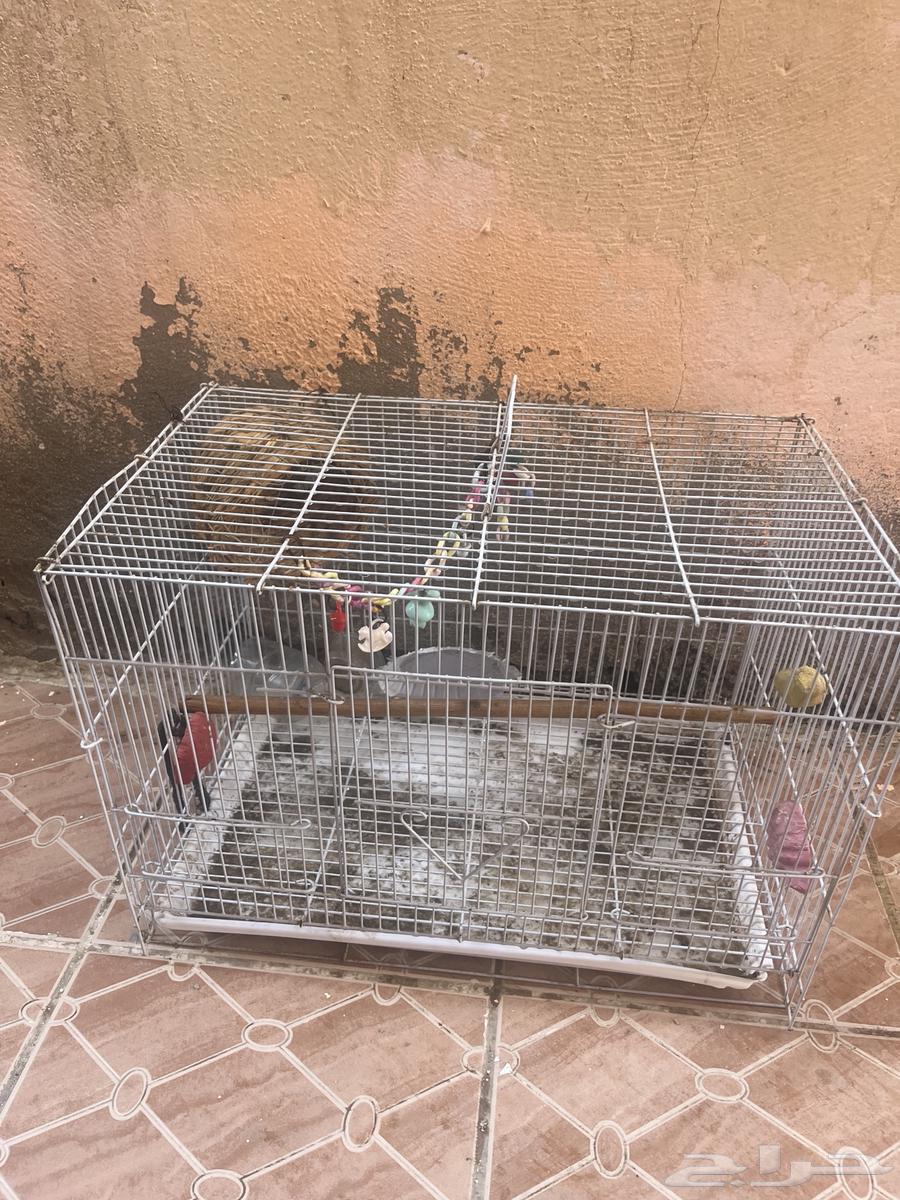 للبيع ثلاث اقفاص للطيور64356836169603113