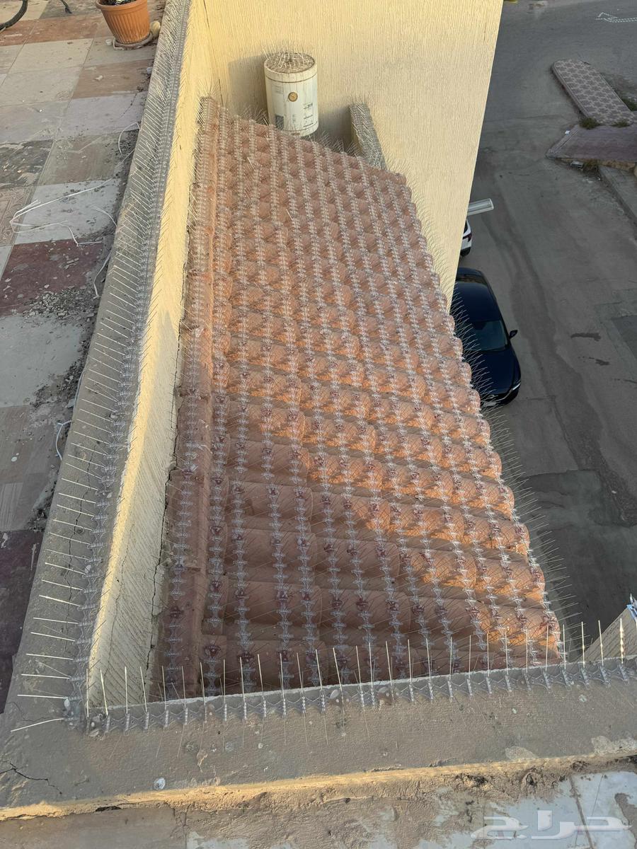 Pigeon Repeller63617346896129113