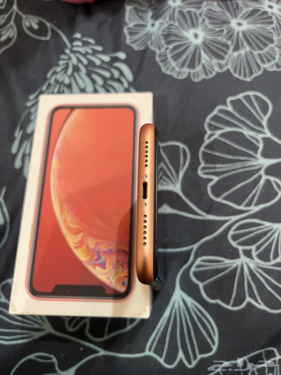 iPhone XR 256GB64361326606721113